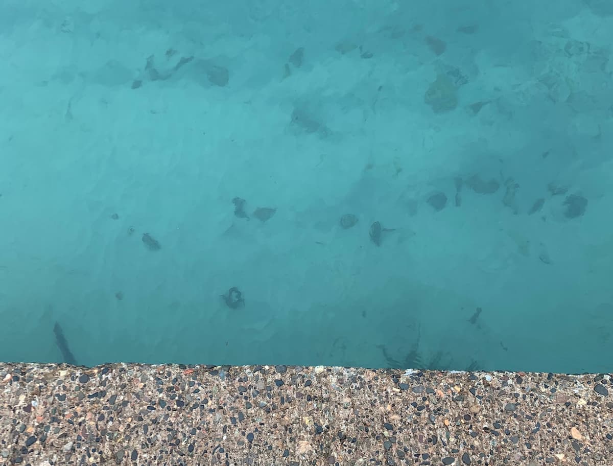 Bright blue water fringed by a concrete pier