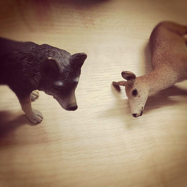 Go home deer, you are drunk.