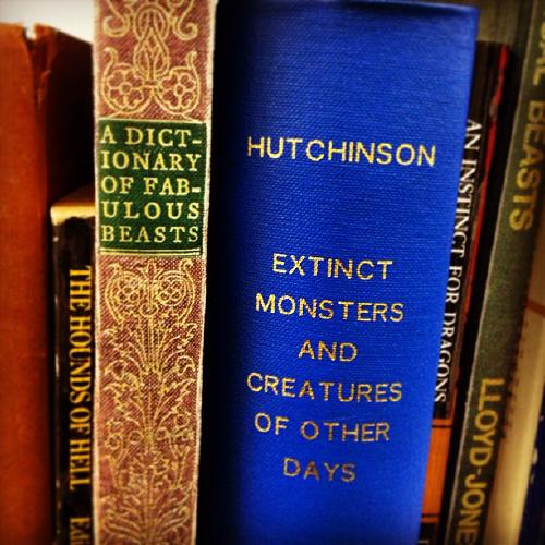 I think I'm in the forbidden section.