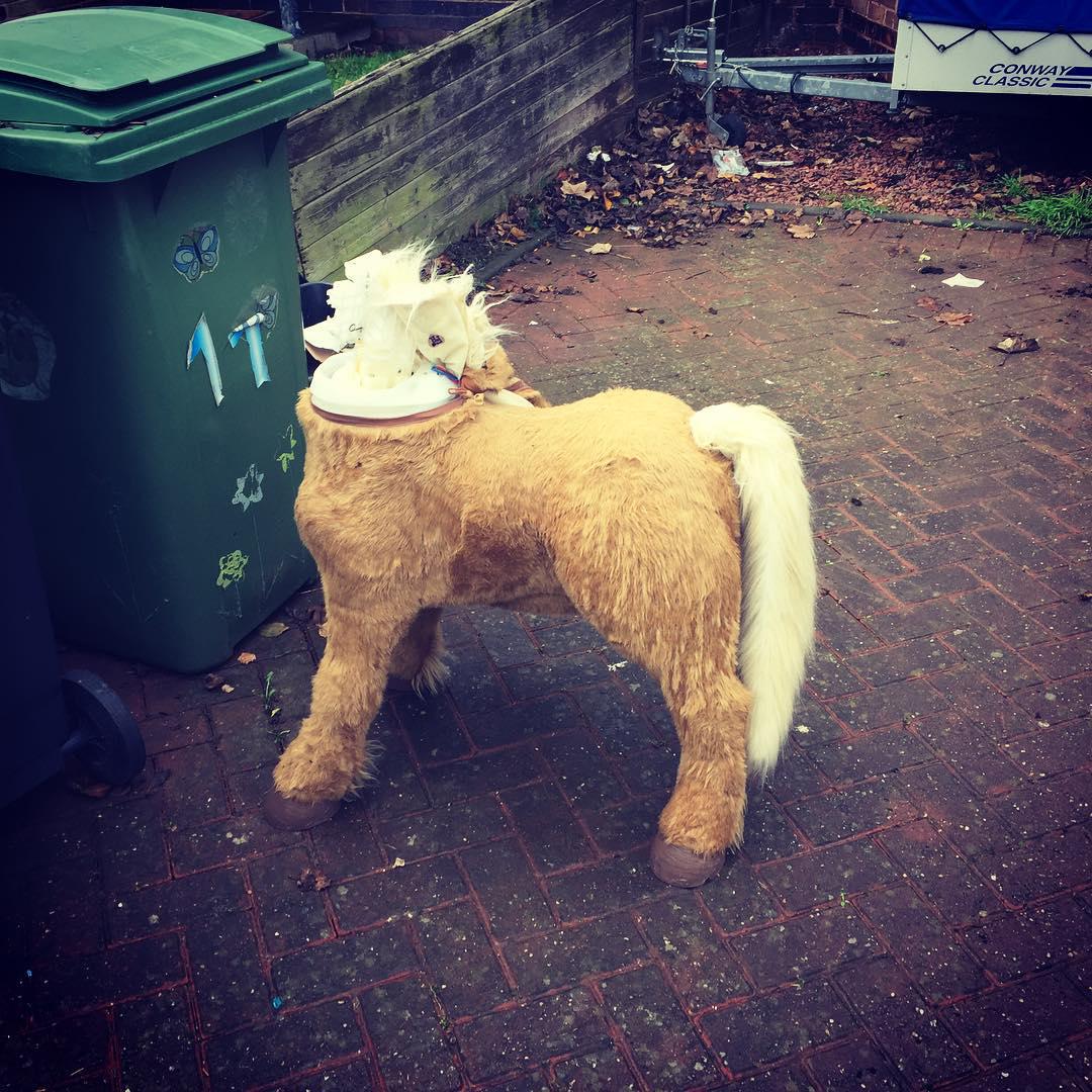 this town makes me sick... look what they've done to you