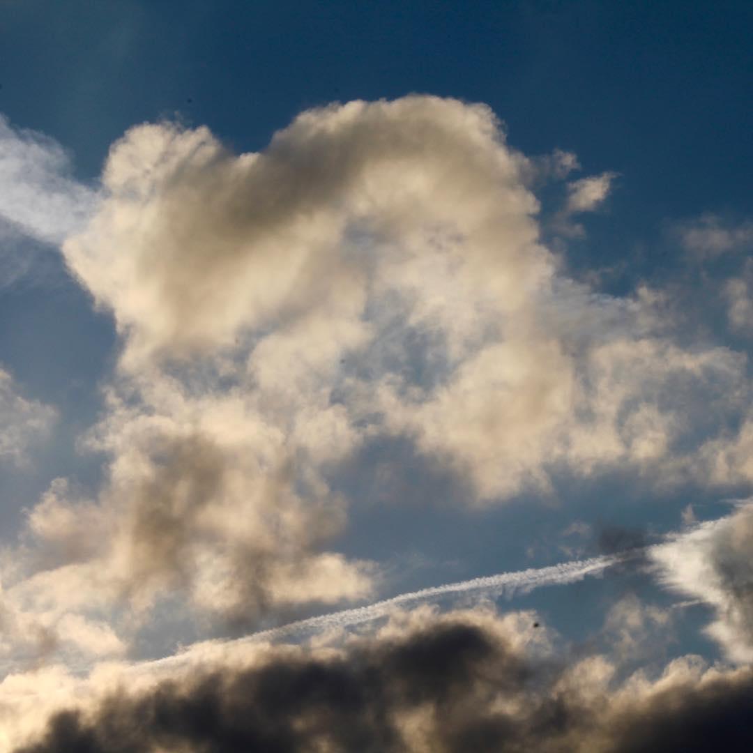 I used to hate walks, now I'm always trying to come up with excuses to go for one.