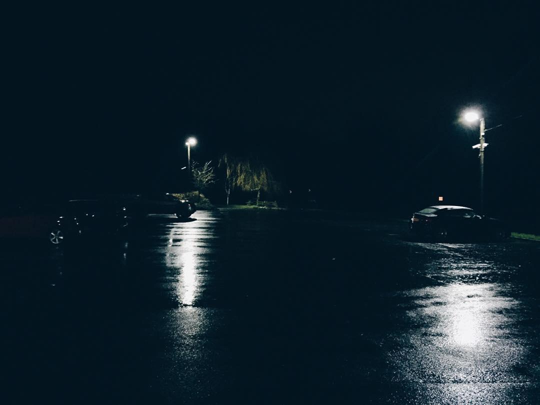 Dark & Damp 💧🐺