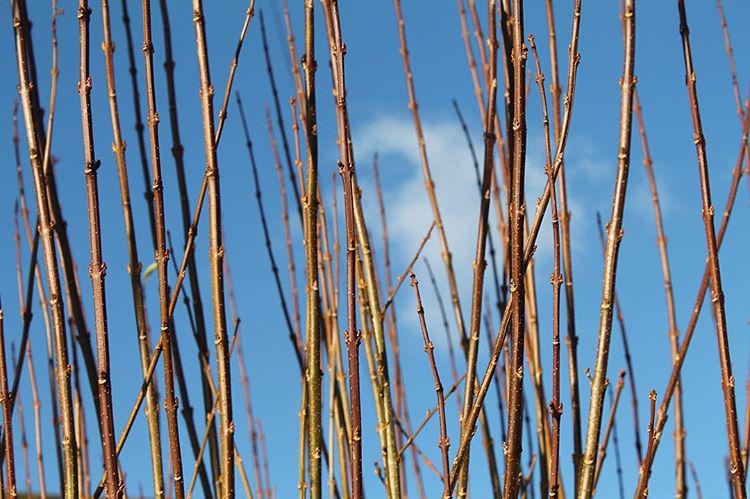 I slept for a real long time just now. I think that was a lot of medicine to take at once. 🌟💊🌙