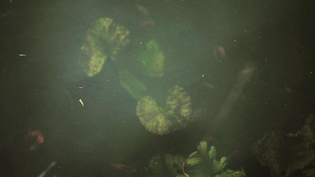 Anybody remember Cold Knap Lake? Vibes. 💀