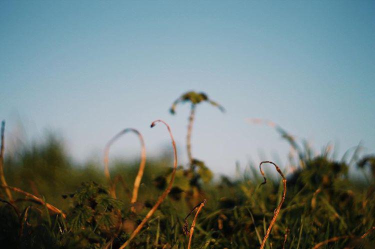 Time out 🍃🐱👩