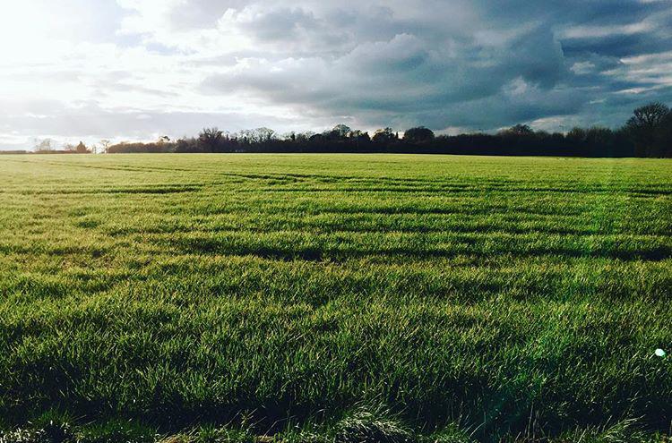 England getting it together right as I'm about to leave it.