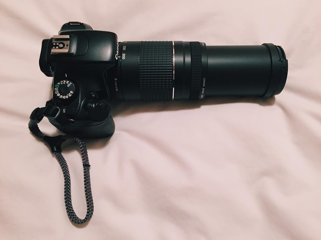 Well this is starting to look a bit silly isn't it. 📷🎩🐘