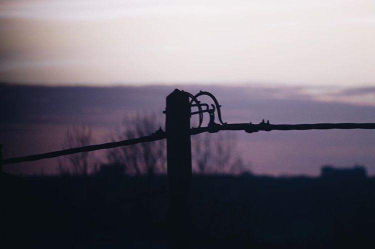 This is the official tricolore flag for the Land of Nod. 🇪🇪🌚😴