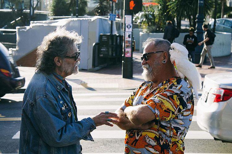 A truly fabulous parrot and his pet human. 🐦