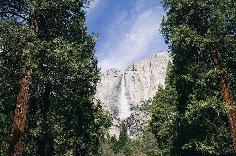 Anybody else getting major Revenant vibes?