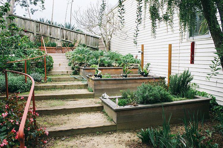 the herb garden 🌿