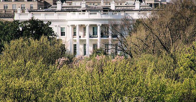 President needs to weed his garden. Guess he's busy.