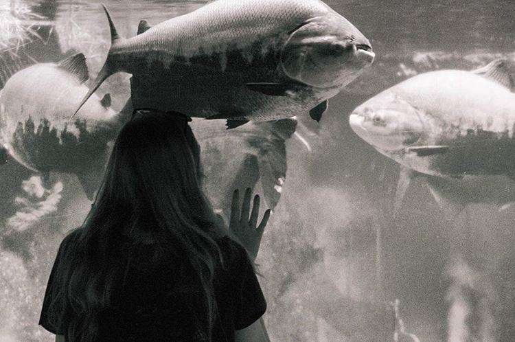 The Girl & The Fishes 🐛🐟