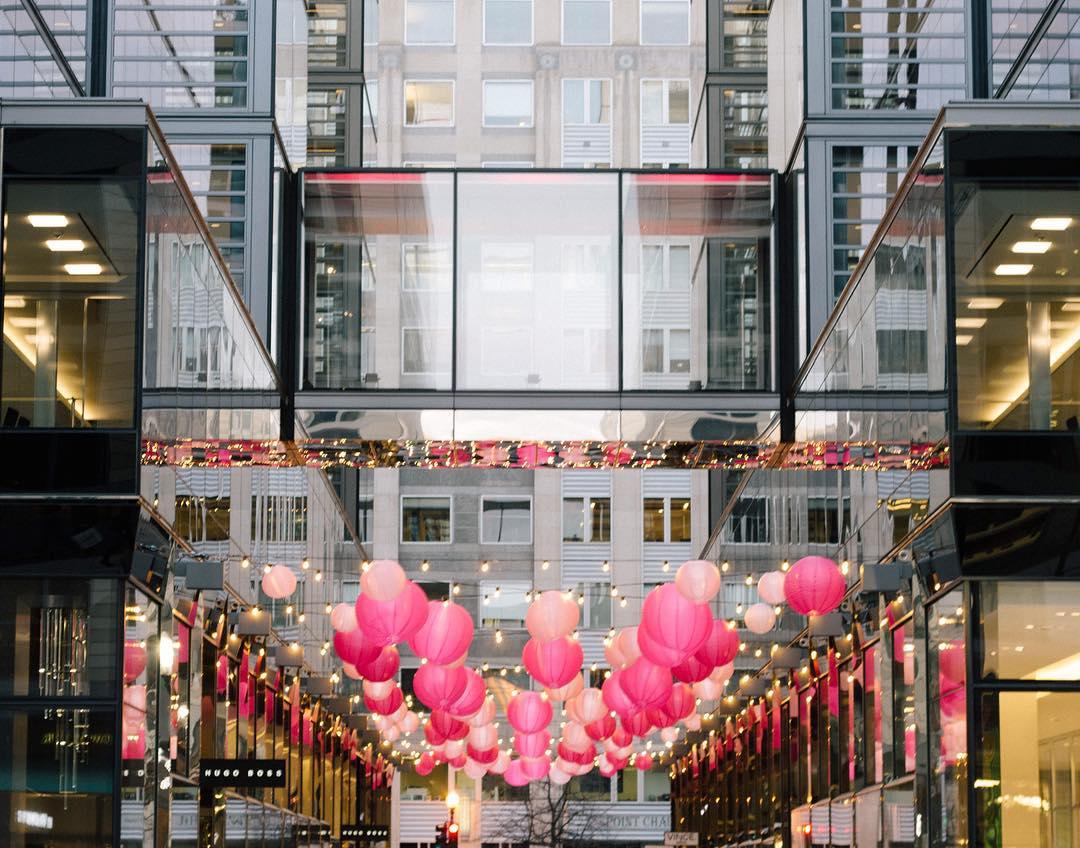 Cherry Blossom Festival 🌺