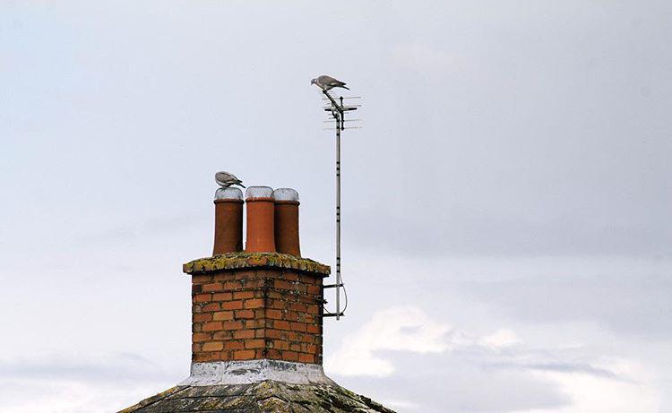 levitatelevitatelevitatelevitate