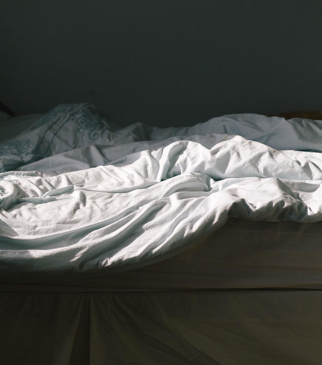 Sunny This Morning ☀️