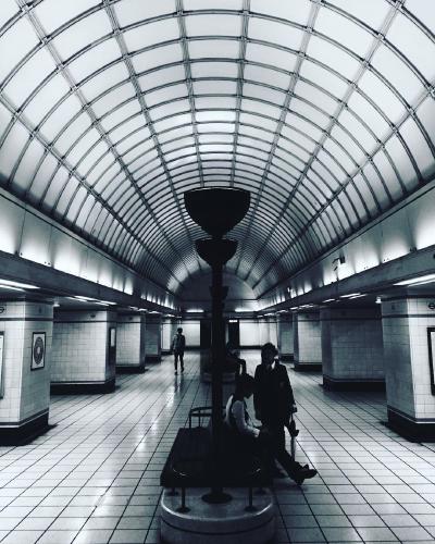 One of many of the mornings diversions. 🚣