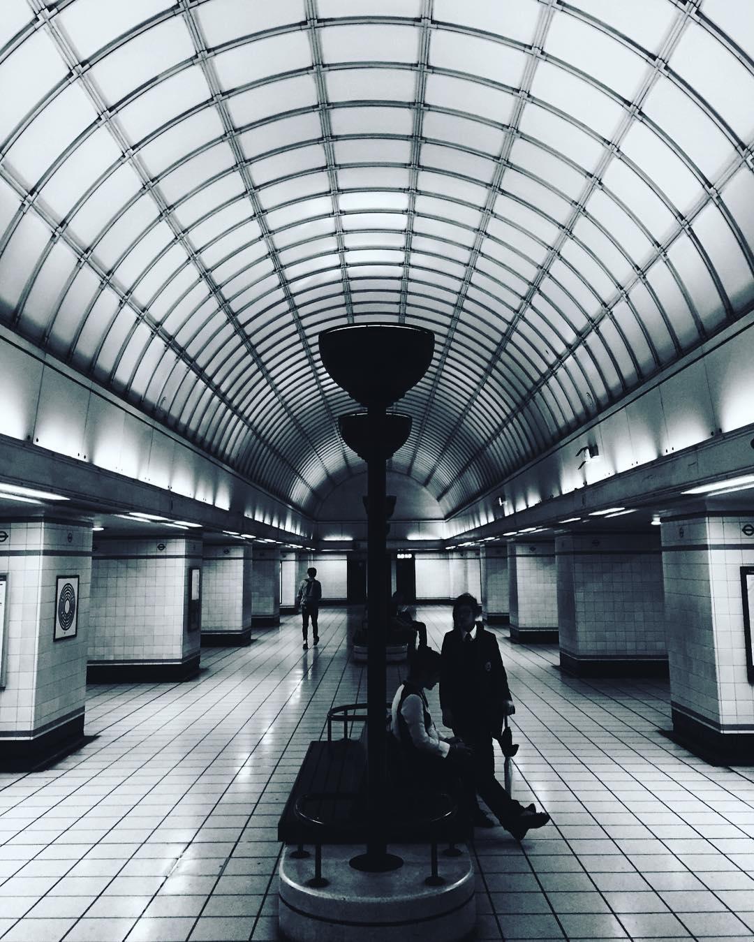 One of many of the mornings diversions. 🚣