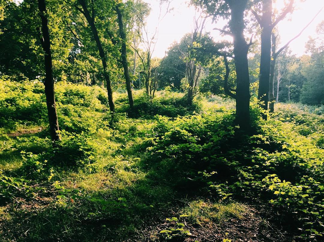 Appears To Be Walken 🌿