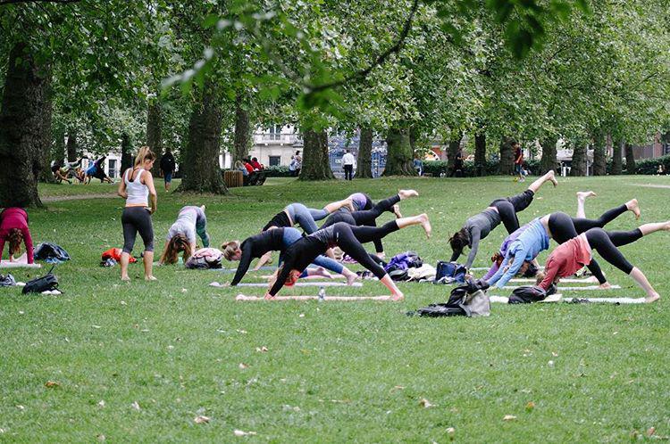 stretch... good morning 🌾