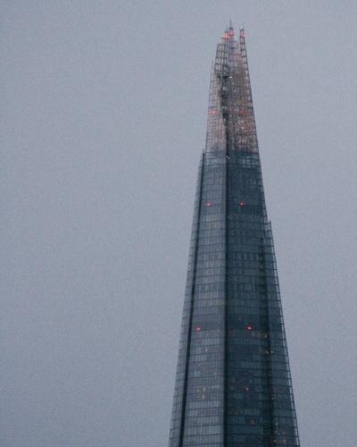 morning, dovey light 🕊