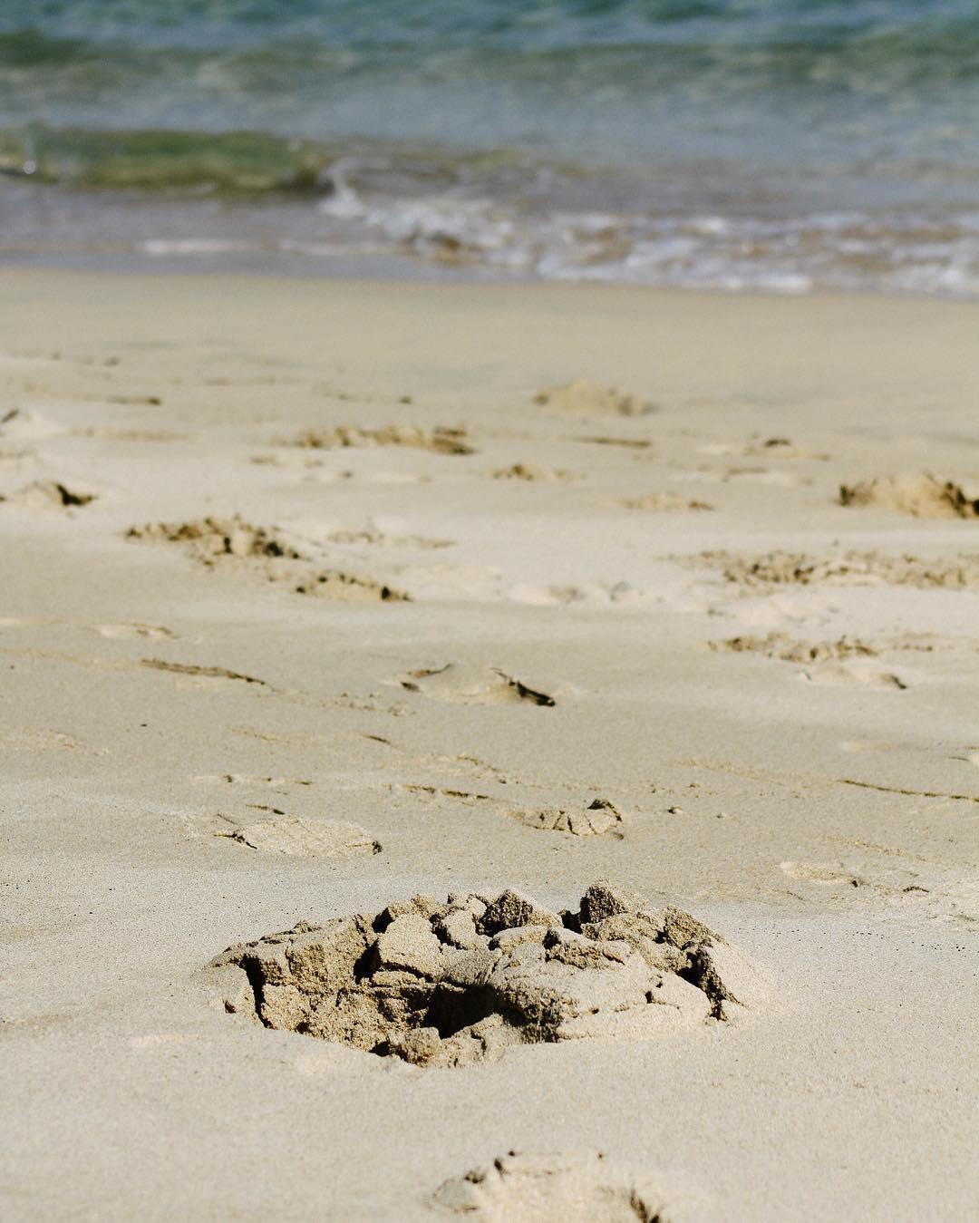 morning. digging holes on the beach.