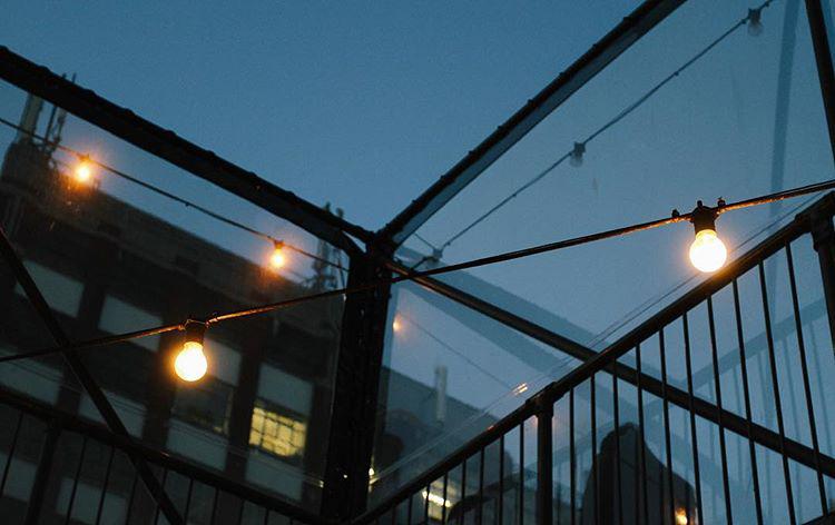 night. voodoo rays vegan slices. 🍕