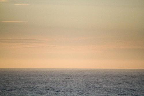 morning. dawn on the water.