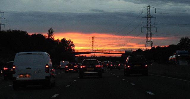 morning. fireflies. 🌅