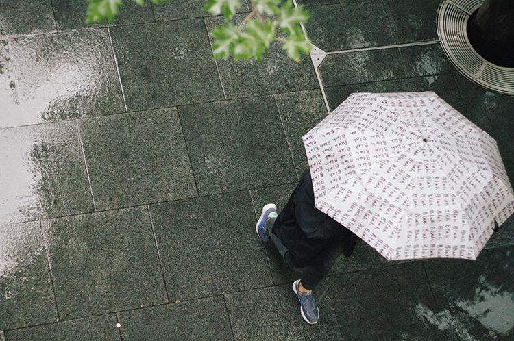 morning. reign. 🌧