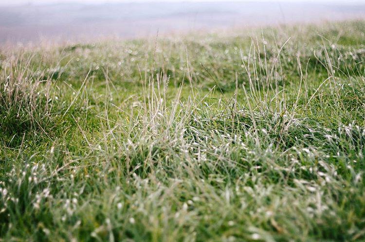 back to the city today