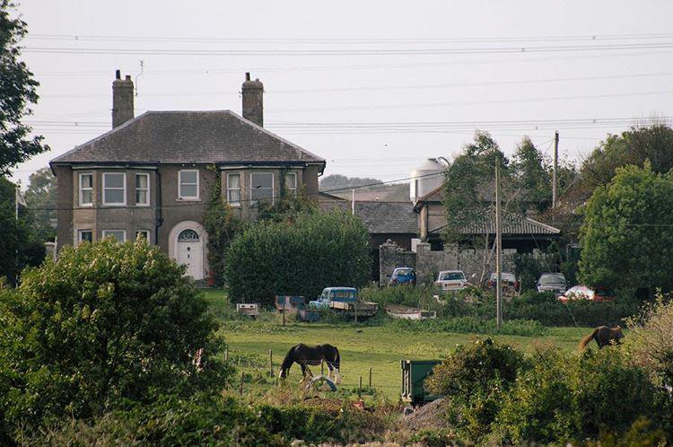 morning. dorset ranching. 🐴