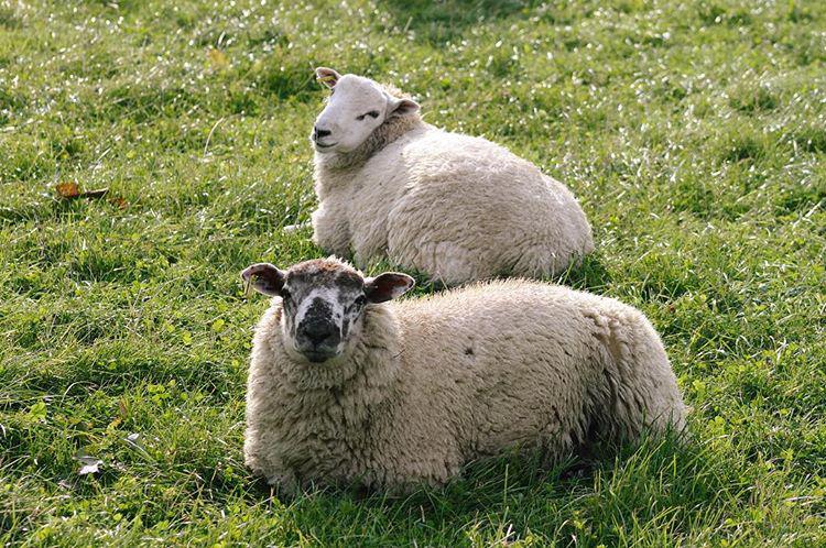 morning. you can't sit with us.