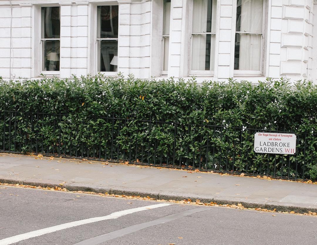 day. can't remember where this was taken.