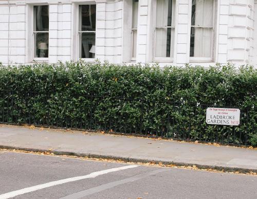 day. can't remember where this was taken.