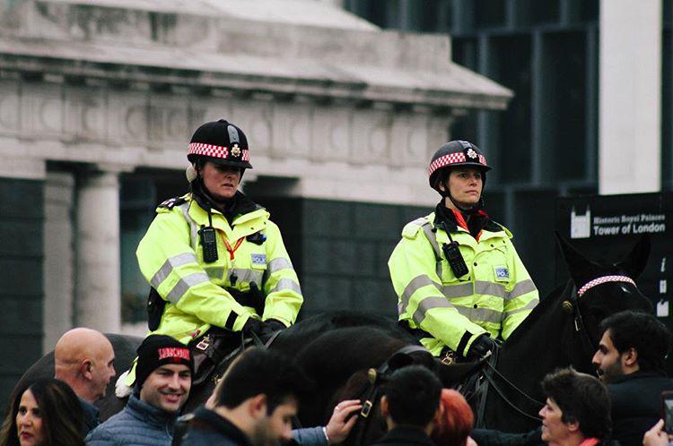 day. cabelleras 🐴