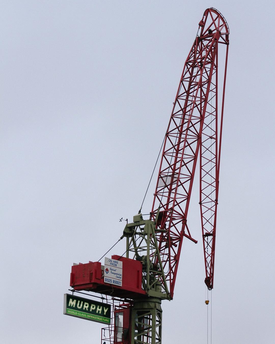 morning. the poor impotent crane.