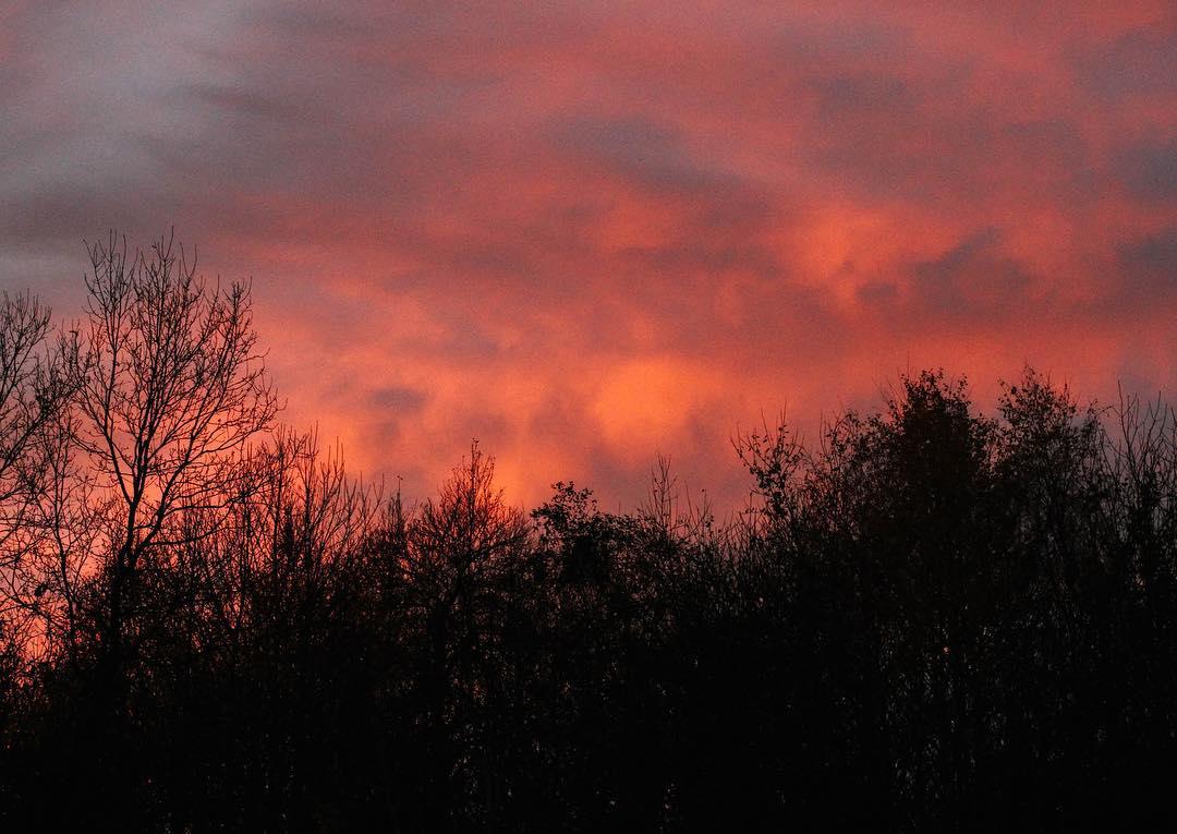 evening. cold ground hot sky.