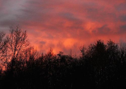 evening. cold ground hot sky.