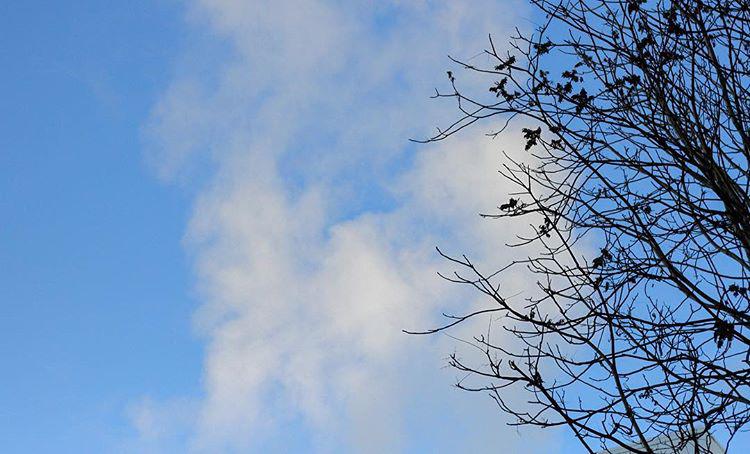 morning. top of the to you 📪