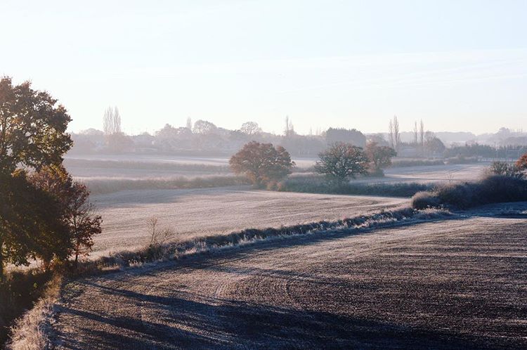 morning. hard fields.