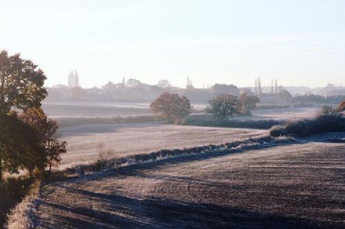 morning. hard fields.