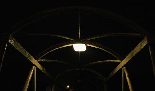 late. electrified birdcage.