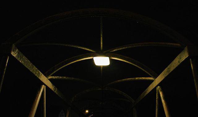 late. electrified birdcage.