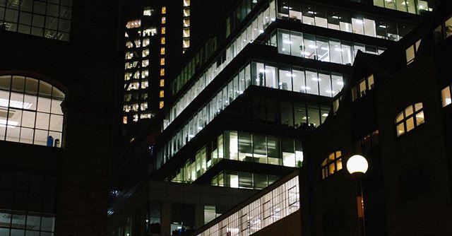 evening. city bumbles.