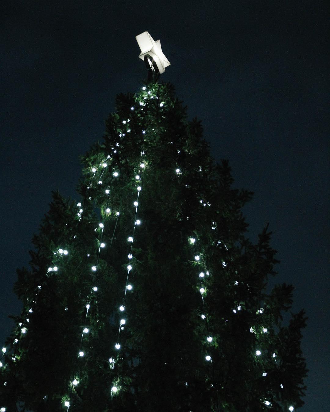 late. feel like i should stop saving up the christmas photos. it's time. 🎄