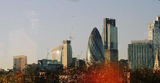 day. light leaky city.