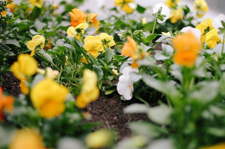 morning. another travel day.