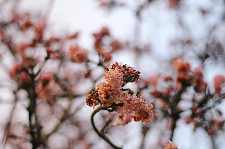 14.1 - air and space