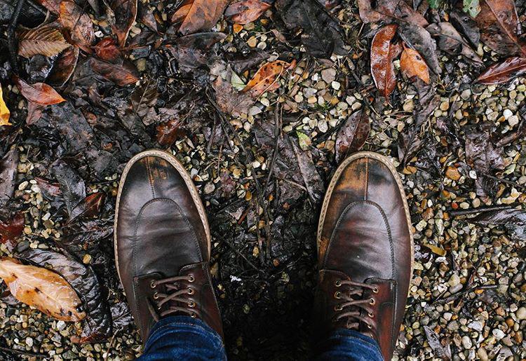 29.0 - the world feels like dirt today